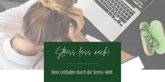 Stress lass nach - Leitfaden durch die Stress-Welt