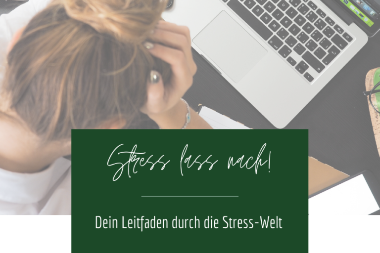 Stress lass nach - Leitfaden durch die Stress-Welt