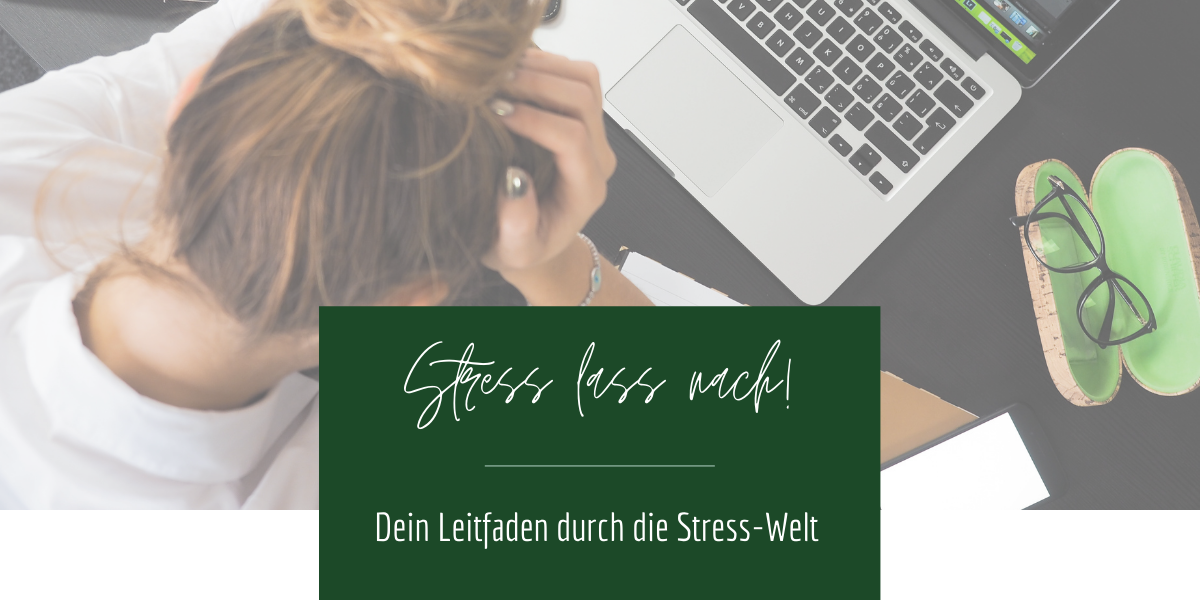 Stress lass nach - Leitfaden durch die Stress-Welt