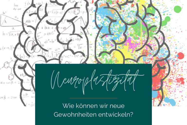 Neuroplastizität - Samadhi Podcast