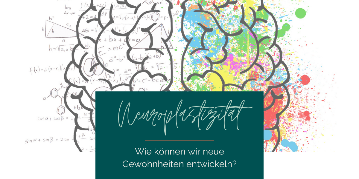 Neuroplastizitaet-neue-gewohnheiten-entwickeln-www.elisastangl.com_ Neuroplastizität - Samadhi Podcast